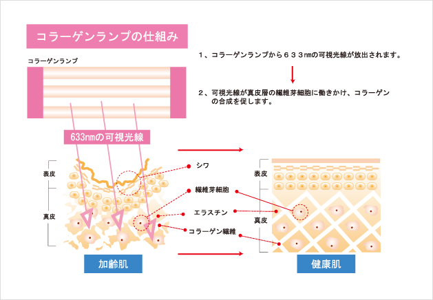 コラーゲンマシンの仕組み